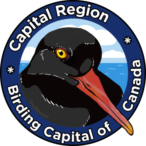 Birding capital of Canada logo