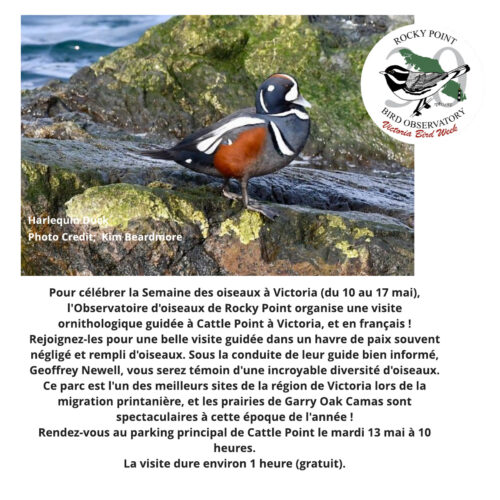 Victoria Bird Week - Cattle Point (French)