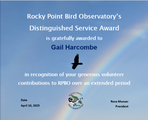 2025 Distinguished Service Award
