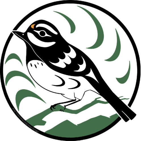 Black-throated Gray Warbler using Coast Salish art