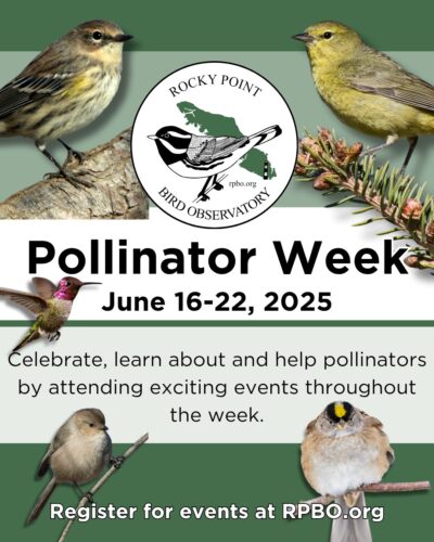 Pollinator Week